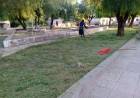 Área de Parques y Paseos: La municipalidad trabaja en el mantenimiento de las plazas en distintos barrios.
