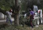 Coordinación de Vialidad municipal: La municipalidad ejecuta tareas de limpieza en calles y avenidas.