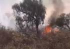 Chepes: incendio de gran magnitud se visualizó al este de nuestra ciudad