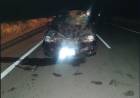 Ulapes: animales sueltos provocaron un accidente vial