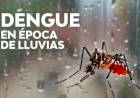 En época de lluvias es determinante prevenir el dengue