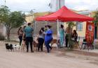 Barrio El Alto: con más de 50 mascotas atendidas en la campaña de vacunación y desparasitación