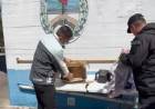 Incautan marihuana: la investigación comenzó en Tucumán y terminó en La Rioja