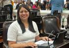 Fuerte impronta política en la agenda legislativa provincial