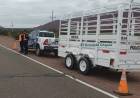 Capturan una yegua suelta en Chepes y refuerzan operativos de prevención vial