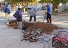 Avanzan los trabajos de mejora en la red hídrica del sector