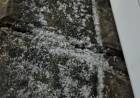 Chepes se prepara para una madrugada helada: podrían caer los primeros copos de nieve