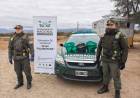 Control en La Rioja: incautan más de 19 kilos de hojas de coca en un colectivo