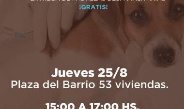 Campaña de vacunación antirrábica y entrega de pastillas desparasitarias.