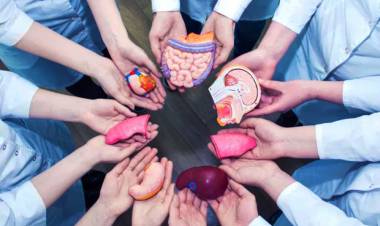 Los niveles de donación y trasplante de órganos se recuperan tras la pandemia.