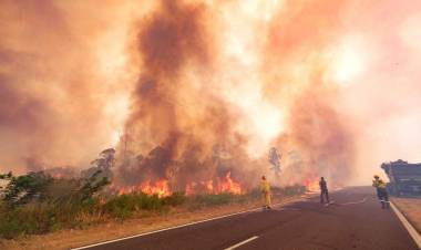 Rosario Vera Peñaloza: Se prohibe cualquier tipo de quema que pueda afectar al medio ambiente.