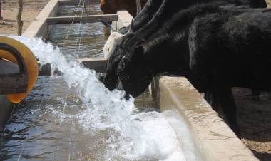 Chepes: Continuan los trabajos de asistencia a productores.