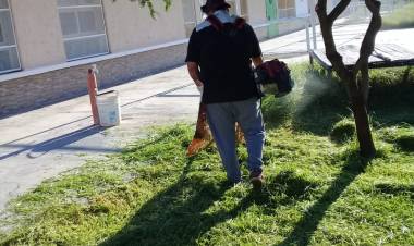 Espacios Verdes: El Municipio continúa con un amplio operativo de limpieza.