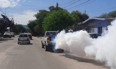 Campaña de Fumigación: Continúan las tareas de fumigación en barrios de Chepes.