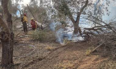 Incendio forestal en Ruta Provincial N° 25