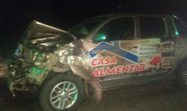 Chepes: animales en la ruta causan accidente