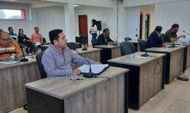 Chepes: Concejales proponen creación de la bandera  departamental  