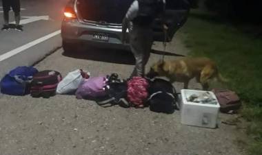 Chamical: Incautaron 24.3 gramos de marihuana y detuvieron a un joven