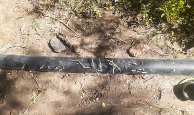 Malanzán: pincharon mangueras de agua y las taparon con espinas