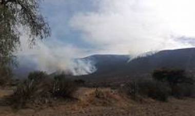 Incendio en el Cerro Negro Departamento Independencia
