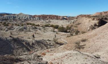 Encontraron en La Rioja restos fósiles de una especie precursora de los mamíferos