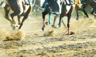 Murió un caballo en el hipódromo de Catuna