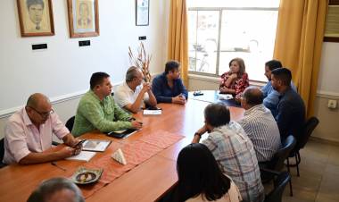 Chamical: Producción diagrama estrategias de trabajo con los departamento 