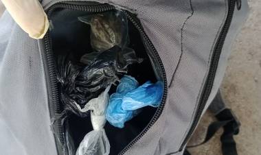 Demoraron a un joven por tenencia de estupefacientes en la terminal de ómnibus