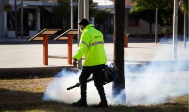 Chepes: Campaña de fumigación en espacios verdes de la ciudad