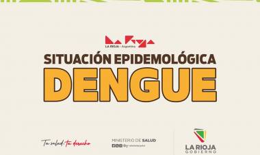 Informe diario de la situación epidemiológica de dengue