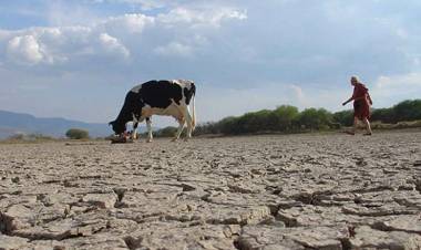 La Rioja busca crear seguro ganadero para mitigar efectos de la sequía