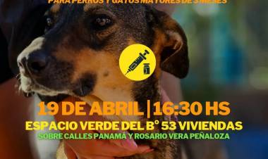 Chepes: Jornada de vacunación para perros y gatos