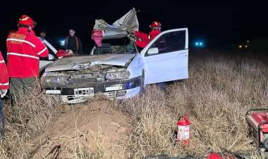 Automovilista impactó contra un equino en el ingreso a Trampa del Tigre