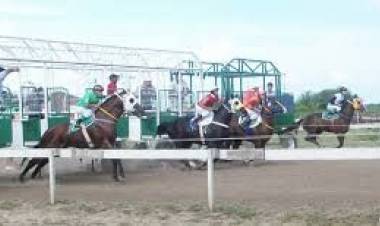 Ulapes: Muere un yegua, tras una carrera en el Hipódromo “La ilusión”