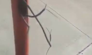 Chepes: Vándalos cortaron cables de columnas del alumbrado público en el Complejo Administrativo