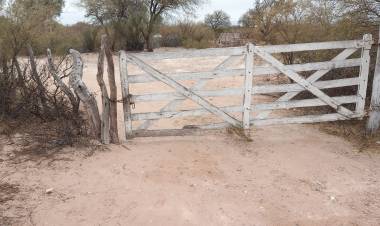 Portezuelo: robaron un animal vacuno