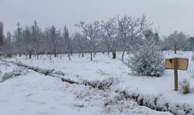 Famatina amaneció cubierto de nieve