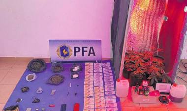 La Policía Federal secuestró medio kilo de marihuana y ocho plantas de cannabis