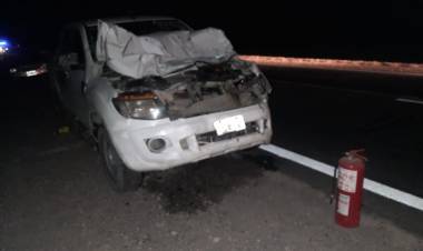 La Rioja: Una camioneta chocó un caballo en el ingreso a la Capital