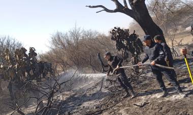 Incendio de gran magnitud en Chepes: Los bomberos trabajaron durante 7 horas