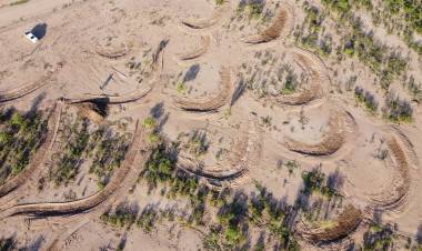 Medialunas Contra la Desertificación: Realizan relevamiento de datos en el campo municipal Sol de Mayo