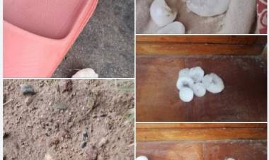 Chepes: Caída de piedra y granizo en seco