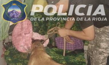 Dirección General de Prevención e Investigacion del Narcotrafico encontró cocaina en el ingreso a Chepes