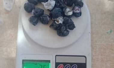 Encontraron casi medio kilo de droga en la cárcel: Tres internos investigados