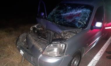 Chañar: Dos heridos leves tras colisión de camioneta con animal en Ruta Nacional 38