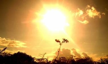 La Rioja en rojo por temperaturas extremas