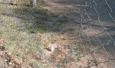 Chepes: Siguen los hechos vandálicos en espacios públicos