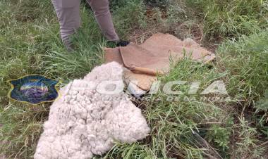 U.R.V° Chamical Comisaría Primera - recuperación de elementos