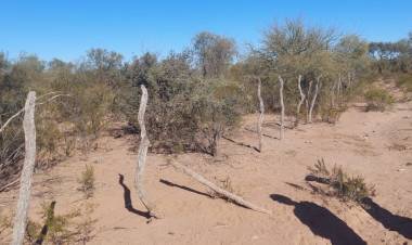 Chepes: denuncian robo de alambre y leña en un campo al sur de la ciudad