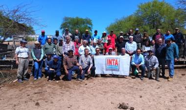 Incertidumbre en el INTA ante cambios en la estructura